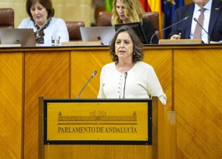 La consejera de Sostenibilidad y Medio Ambiente, Catalina García, este miércoles en el Pleno del Parlamento.