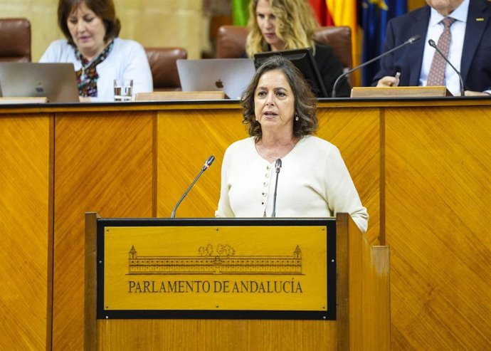 La consejera de Sostenibilidad y Medio Ambiente, Catalina García, este miércoles en el Pleno del Parlamento.