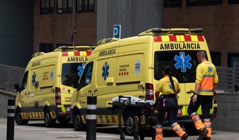 notibrasil política