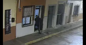 Un perro evita el secuestro de una mujer en Polinyà del Xúquer al morder a uno de los atacantes