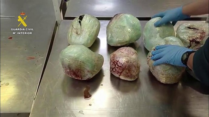 Varios ejemplares de pangolín muertos encontrados en el aeropuerto Adolfo Suáres-Madrid Barajas en una maleta procedente de Etiopía.