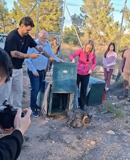 Suelta del lince Winder en la provincia de Albacete.