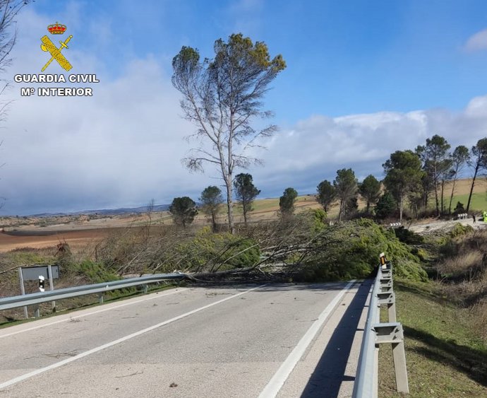 Carretera cortada por la caída de un árbol en Alcocer.
