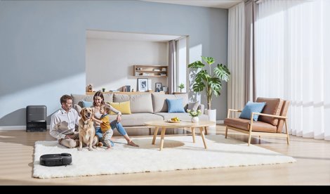 notibrasil sociedade