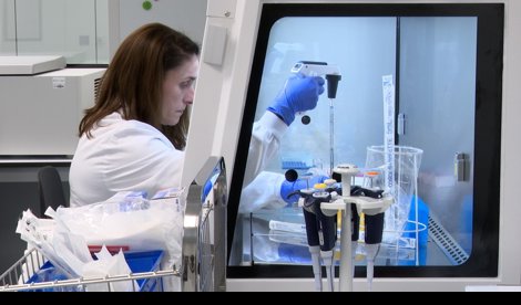 notibrasil sociedade