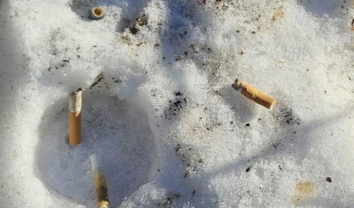 La OMS prevé que la región de Europa y Asia central seguirá siendo la de mayor prevalencia de consumo de tabaco en 2030