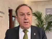 Gestoso (Vox) asegura que no ha visto "ningún movimiento en contra de nadie" en el partido y en relación a Antelo