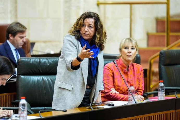 La consejera de Desarrollo Educativo y Formación Profesiona, María del Carmen Castillo, en el Pleno del Parlamento del 26 de febrero de 2026.