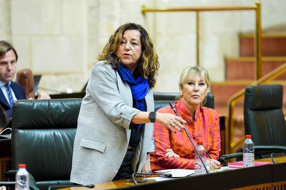 La consejera de Desarrollo Educativo y Formación Profesional, María del Carmen Castillo, en el Pleno del Parlamento del 26 de febrero de 2026.