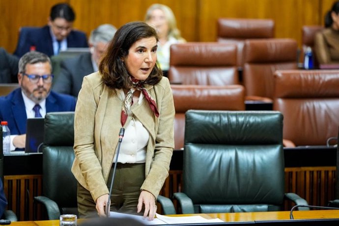 La consejera de Empleo, Empresa y Trabajo Autónomo, Rocío Blanco, en el Parlamento de Andalucía.
