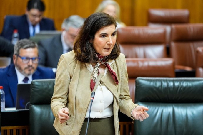 Consejera de Empleo, Empresa y Trabajo Autónomo, Rocío Blanco, durante su intervención en el Pleno en el Parlamento de Andalucía.