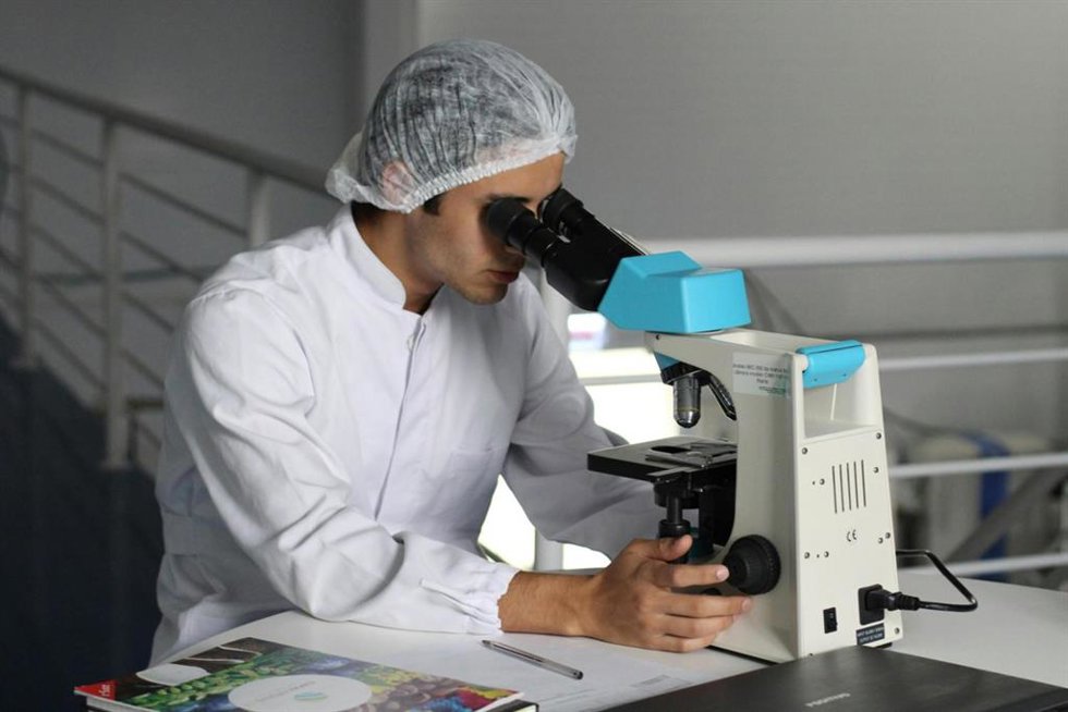 Archivo - Un investigador usando un microscopio.