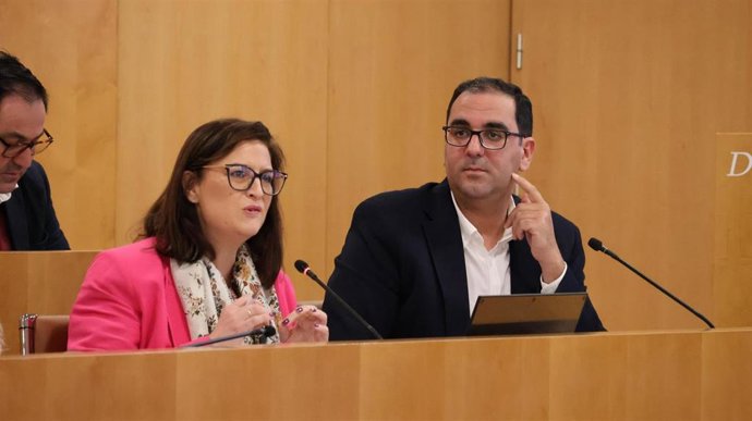 La portavoz adjunta de Grupo popular, Gloria Guillén, durante el pleno de la Diputación de Sevilla celebrado este jueves, 26 de febrero.