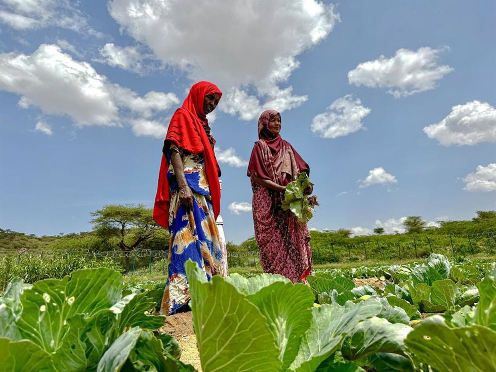 Archivo - Dos mujeres en un cultivo en Somalia