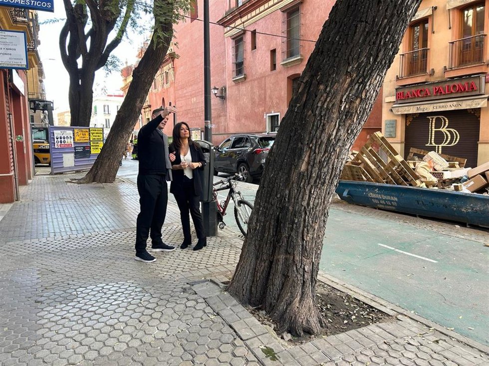 La delegada de Arbolado, Parques y Jardines, Evelia Rincón, con un árbol de San Jacinto afectado por el apeo puntual antes de Semana Santa