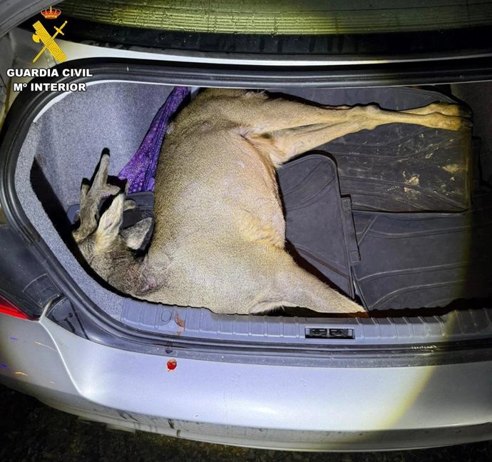 Dos vecinos de Cáceres investigados en Salamanca tras hallar un corzo recién abatido en el maletero del coche.