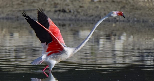 Es Andalucía - Córdoba
