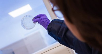 Investigación
