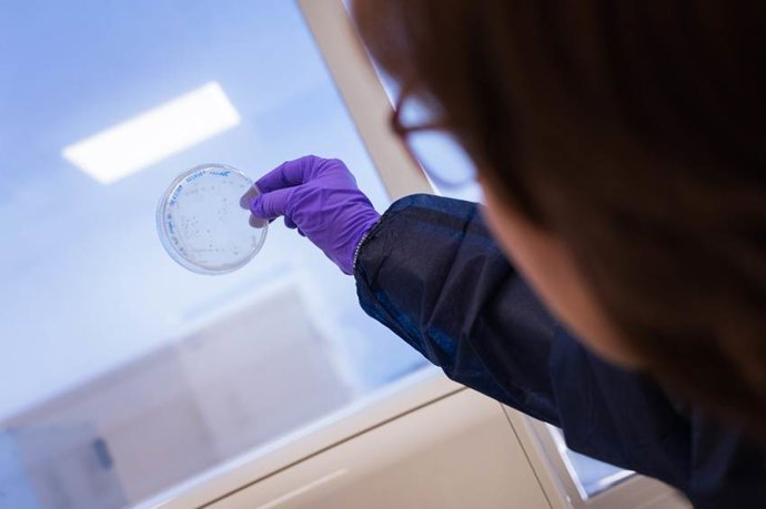 Imagen de un investigador 