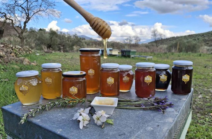 El sector apícola refuerza su competitividad en 2025 con un aumento del 12% en las exportaciones de miel.