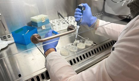 Es Andalucía - Sevilla