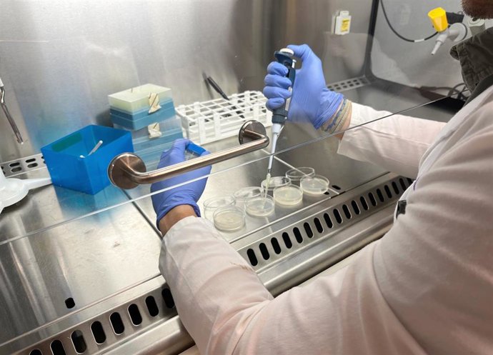 Archivo - Imagen de archivo de un laboratorio de biotecnología.