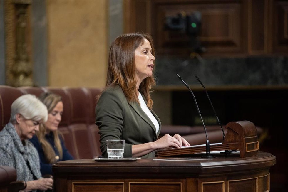 Archivo - La diputada del PSOE Milena Herrera interviene durante una sesión plenaria 