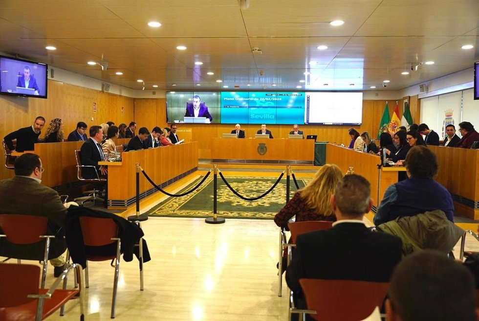 Pleno ordinario celebrado en la Diputación este jueves 26 de febrero.
