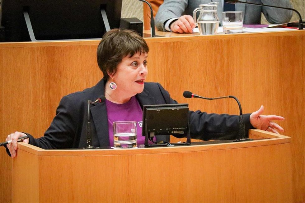 La portavoz del Grupo Podemos-IU, Henar Moreno