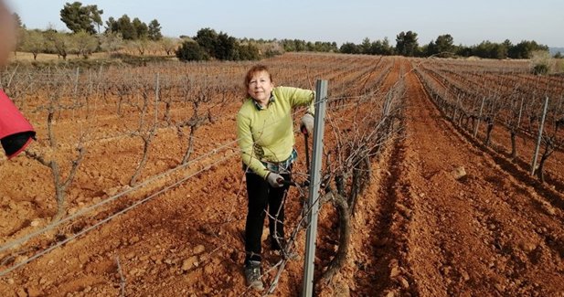 EpAgro - Unión Europea