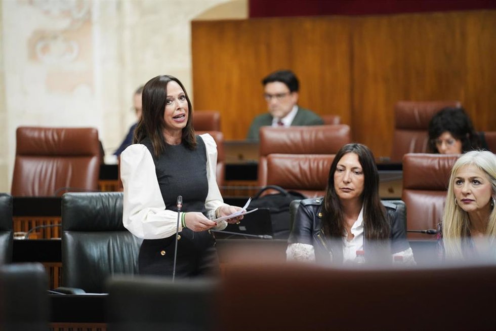 La consejera de Fomento, Articulación del Territorio y Vivienda de la Junta de Andalucía, Rocío Díaz, interviene desde su escaño en  la sesión de control en el pleno del Parlamento andaluz. 