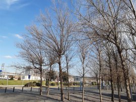 Foto: EUROPA PRESS - Archivo