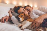 Foto: Dormir en pareja, con tu perro o con tu gato: así afecta a tu sueño, a tu relación y hasta a tu vida sexual