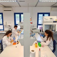 Es Andalucía - Málaga