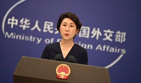 notibrasil política