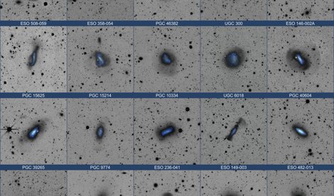notibrasil sociedade
