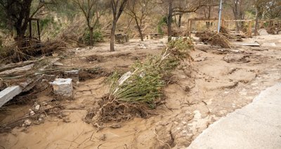 EpAgro - Agricultura