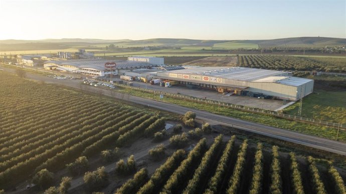 Archivo - Foto de archivo de una nave de Deoleo