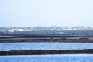 Detalle de los humedales del Paraje Natural y Reserva de la Biosfera Marismas del Odiel en Punta Umbría, en imagen de archivo. 