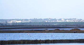 Federación Andaluza de Municipios y Provincias