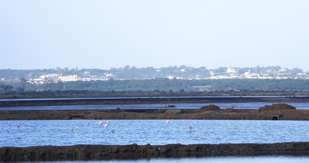 Federación Andaluza de Municipios y Provincias