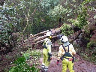 Cerradas las áreas recreativas de Las Lajas y Madre del Agua, en Tenerife, por fuertes rachas de viento
