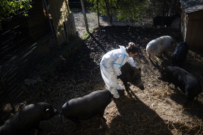 Vídeo de la noticia