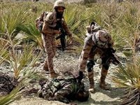 Pakistán eleva a casi 300 los talibán y "terroristas" muertos en sus ataques en Afganistán