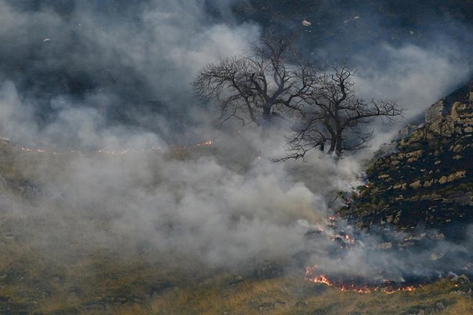 Foco activo durante las labores de extinción de un incendio esta semana en Cantabria