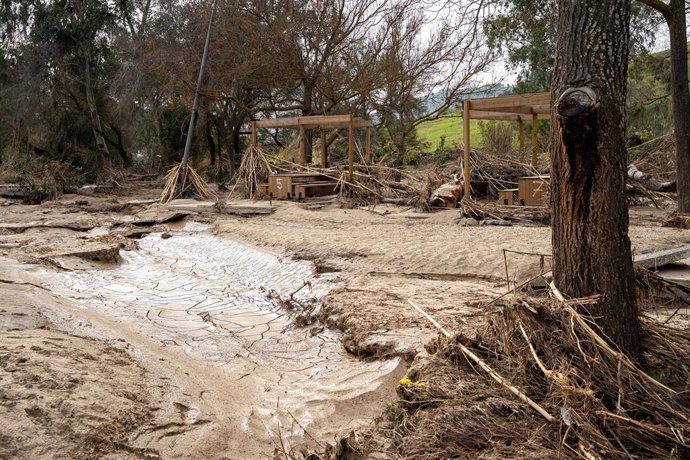 Imagen de la zona recreativa del río Corbones y del camino Arroyo Mujeres, afectadas seriamente por el temporal de hace dos semanas.  A 25 de febrero del 2026 en Villanueva de San Juan (Sevilla, España). 