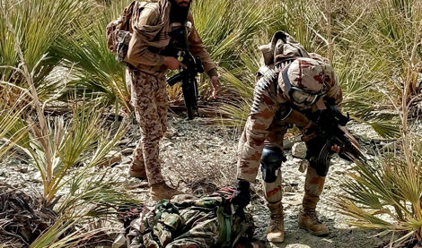 notibrasil sociedade