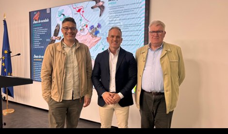 Es Andalucía - Córdoba