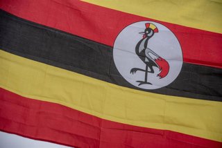 Archivo - Bandera de Uganda (archivo)