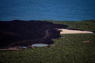 Archivo - Vista general de la colada de lava rodeada de cultivos de plátano en la costa del municipio de Tazacorte